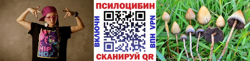 блэк спрут tor цены Печора Галлюциногенные грибы мухоморы